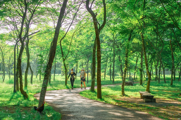 Khu vực đi bộ Dự án Ecopark Vinh 